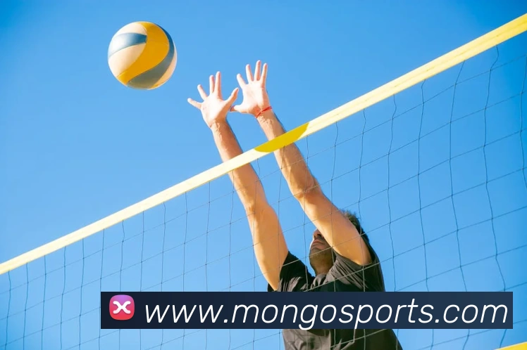 体育下注品牌故事